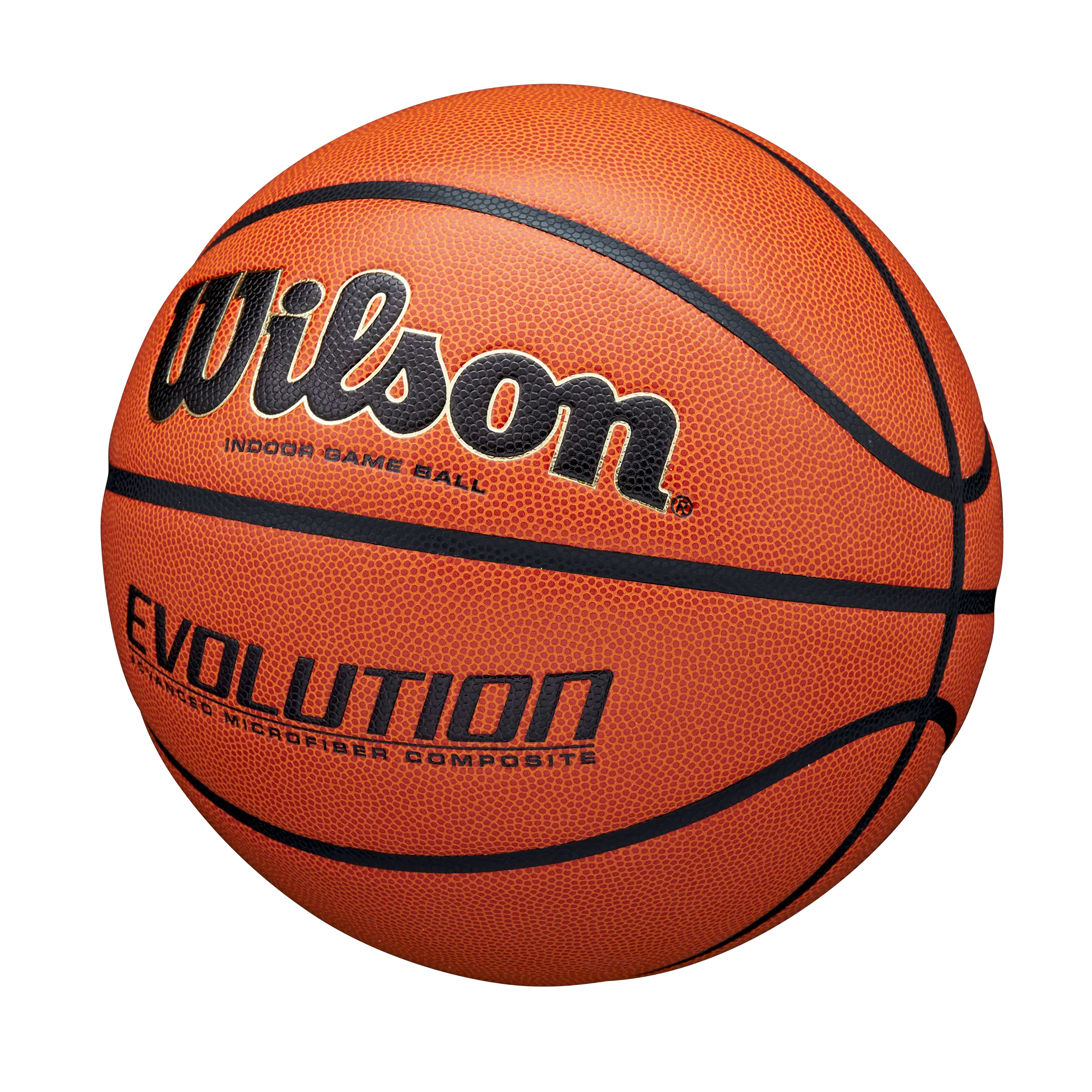 Wilson Evolution Game Basketball