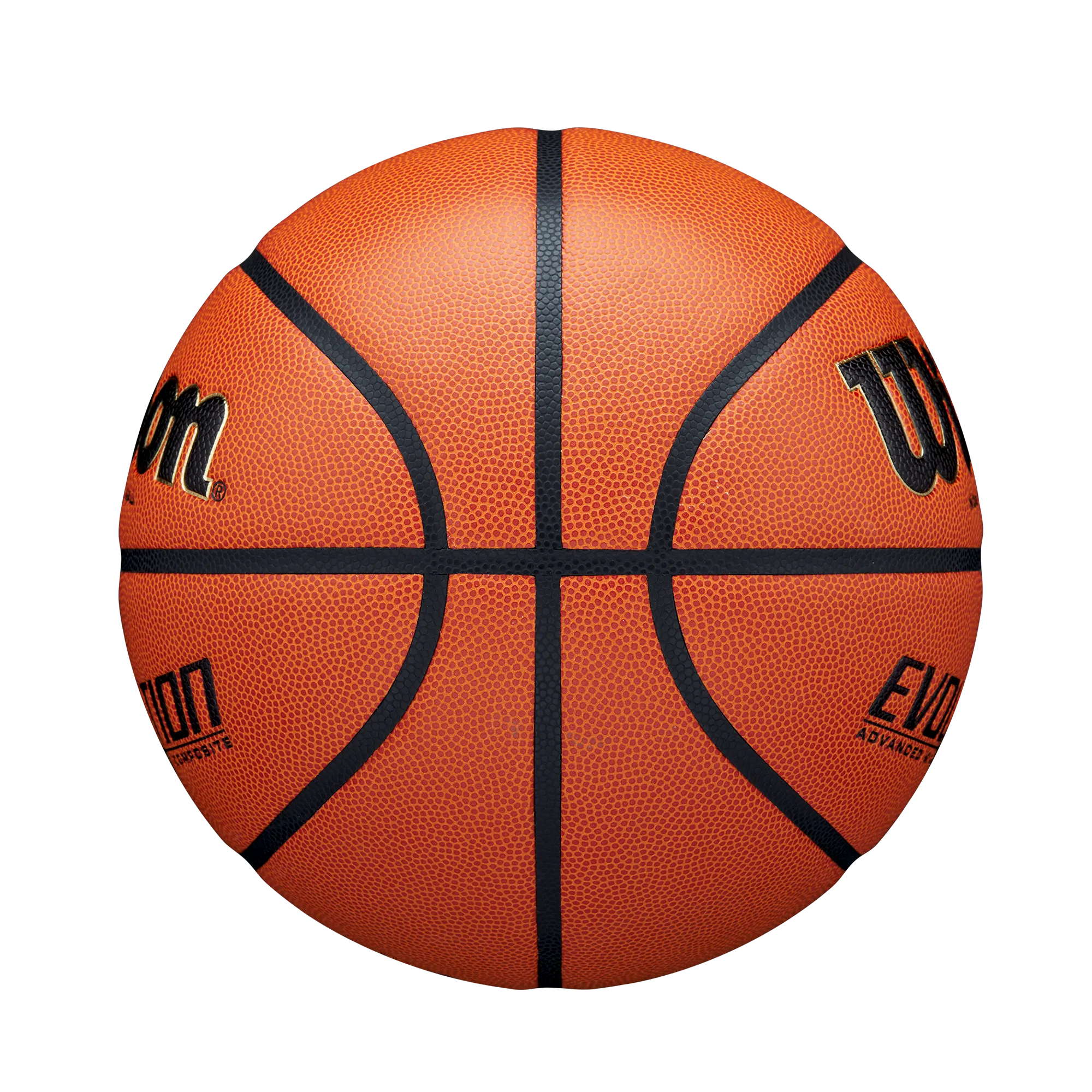 Wilson Evolution Game Basketball