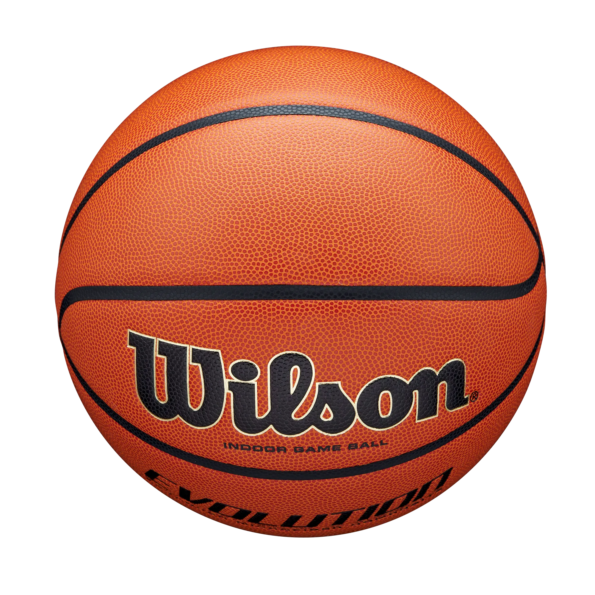 Wilson Evolution Game Basketball